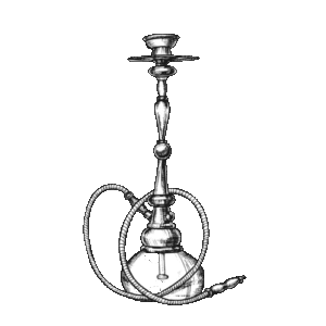 Premium Shisha Experience